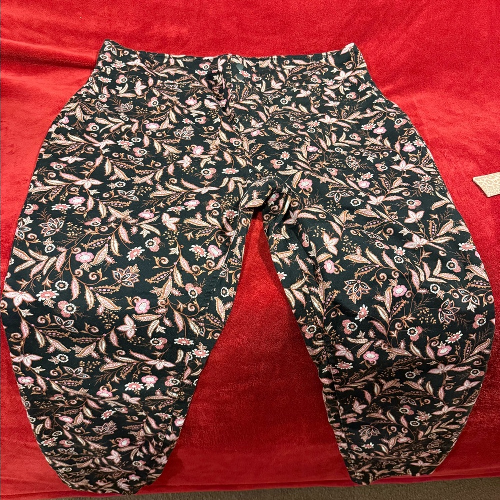 Terra & Sky Black Floral Pants